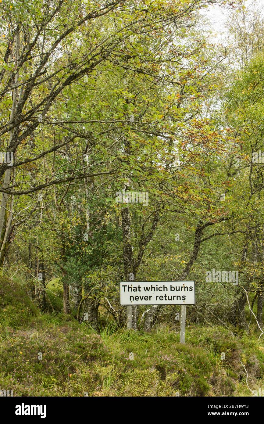 That Which Burns Never Returns sign at the edge of the ancient ...