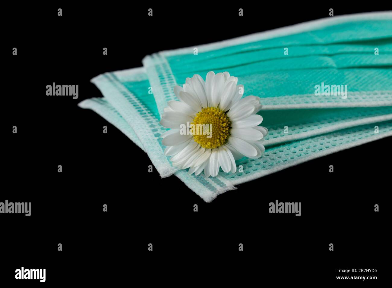 Daisy lies between medical masks, concept of protection, caring and hope Stock Photo