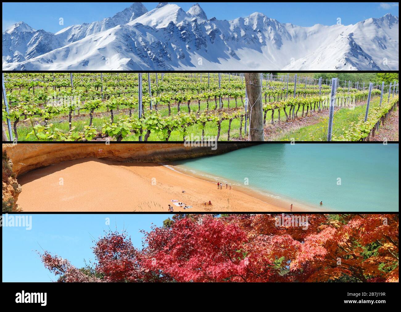Four seasons banner collage - winter, spring, summer and autumn concept ...