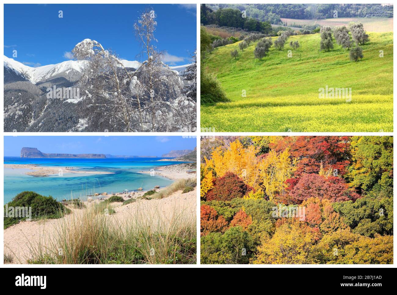 Four seasons photo collection - winter, spring, summer and autumn ...