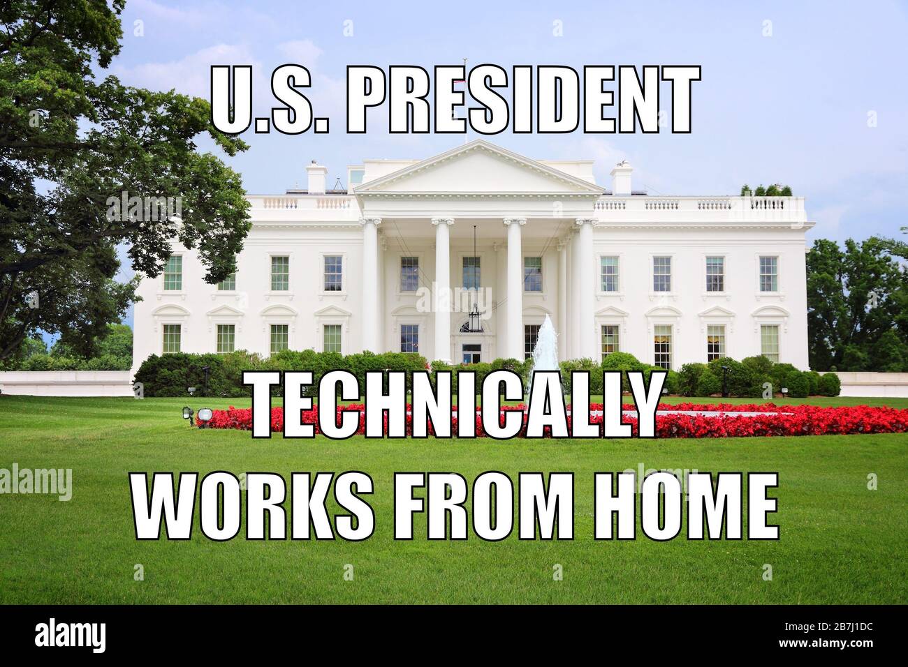 America funny meme for social media sharing. Working from home. Home office  for . President Stock Photo - Alamy