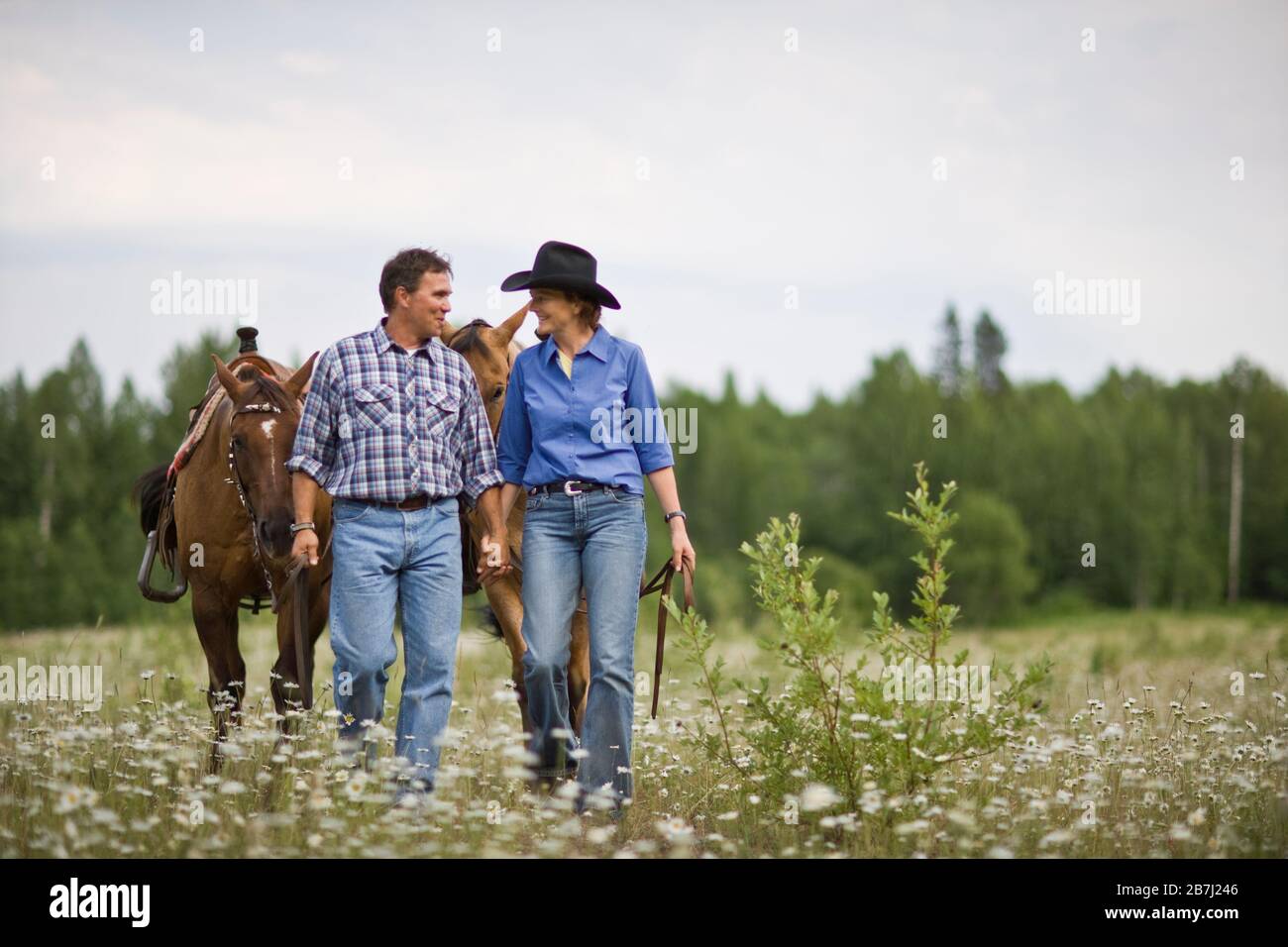 Mature couple leading horses through a meadow Stock Photo