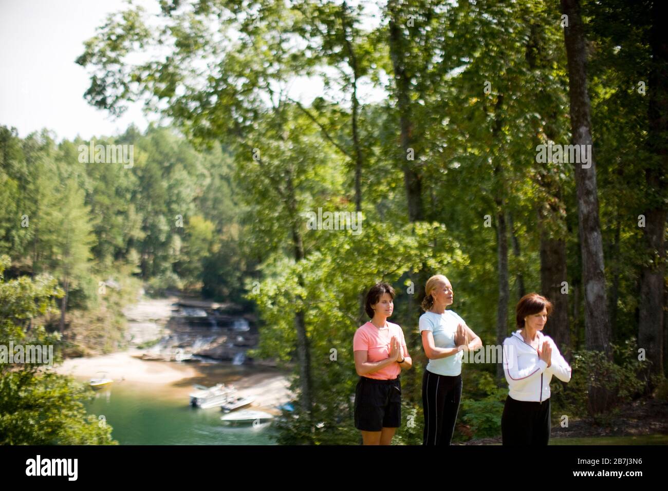 Leafy forest in middle hi res stock photography and images Alamy