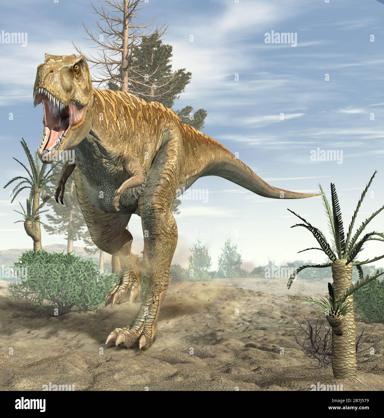 T rex hunting hi-res stock photography and images - Alamy