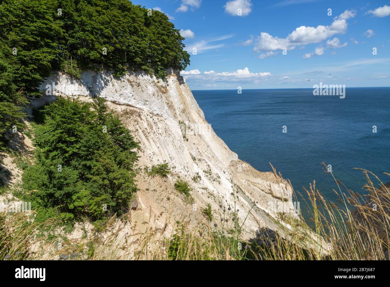 Chalk cliffs on the Island of Moen, Denmark, Europe Stock Photo