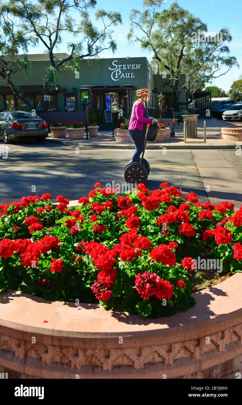 A foreground of red begonia flowers in planters  with a woman on a Segway personal transport vehicle tooling around Old town Scottsdale, AZ Stock Photo