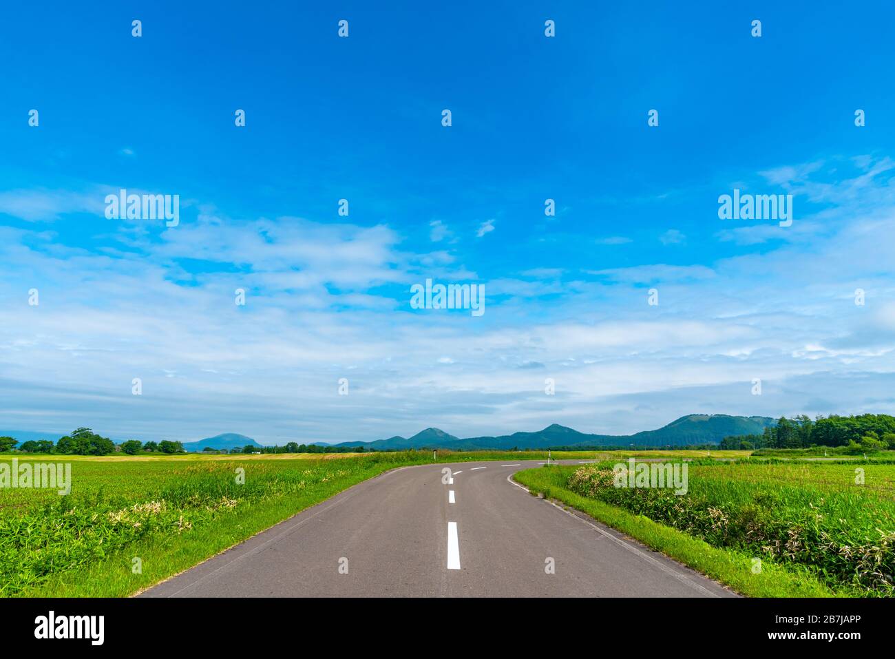 Rural asphalt road among the fields in summer season Stock Photo - Alamy