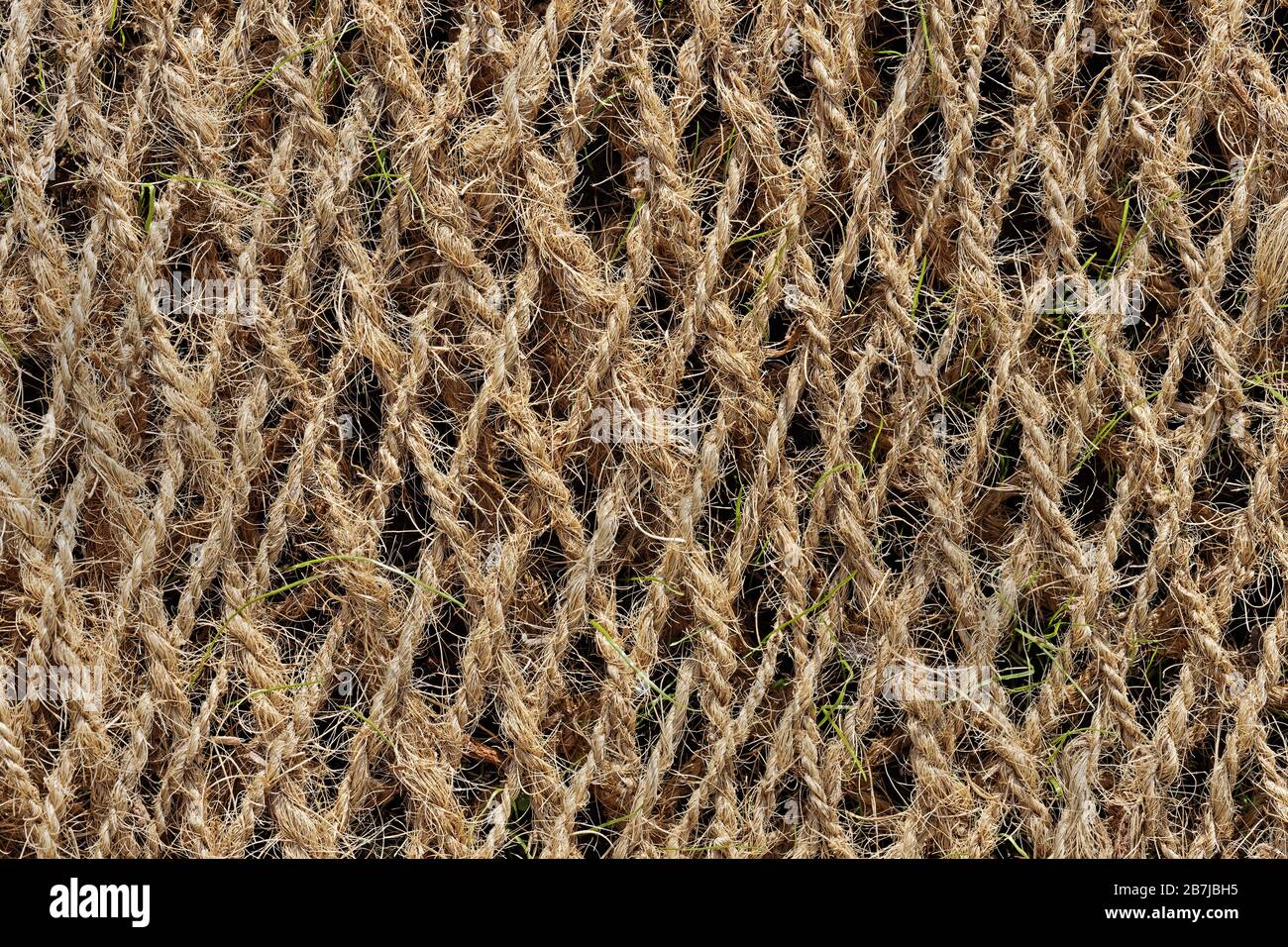 Coconut fiber hires stock photography and images Alamy