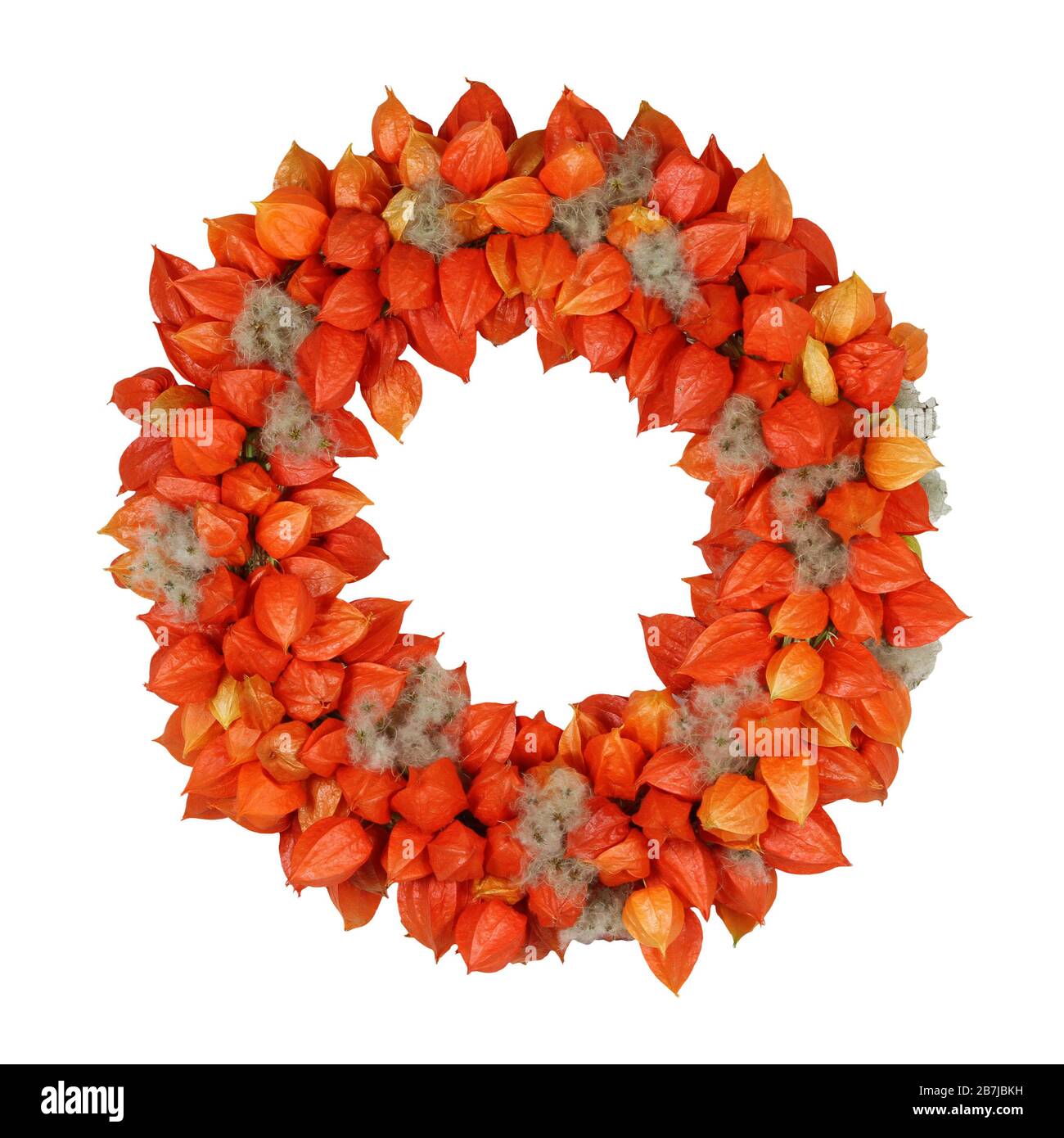 Autumnal Wreath with Physalis and Withywind (Physalis alkekengi and Clematis vitalba) Stock Photo