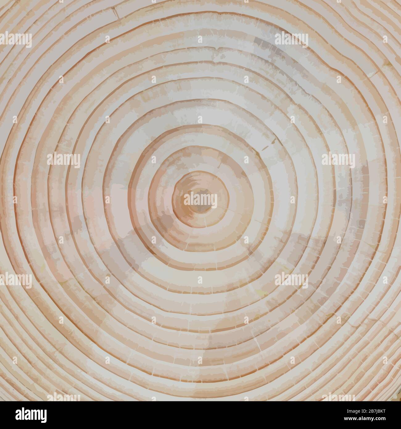 Wood Texture: Pine Tree Cross-Section: cross-section closeup of a pine tree trunk with differentiated growth rings Stock Photo