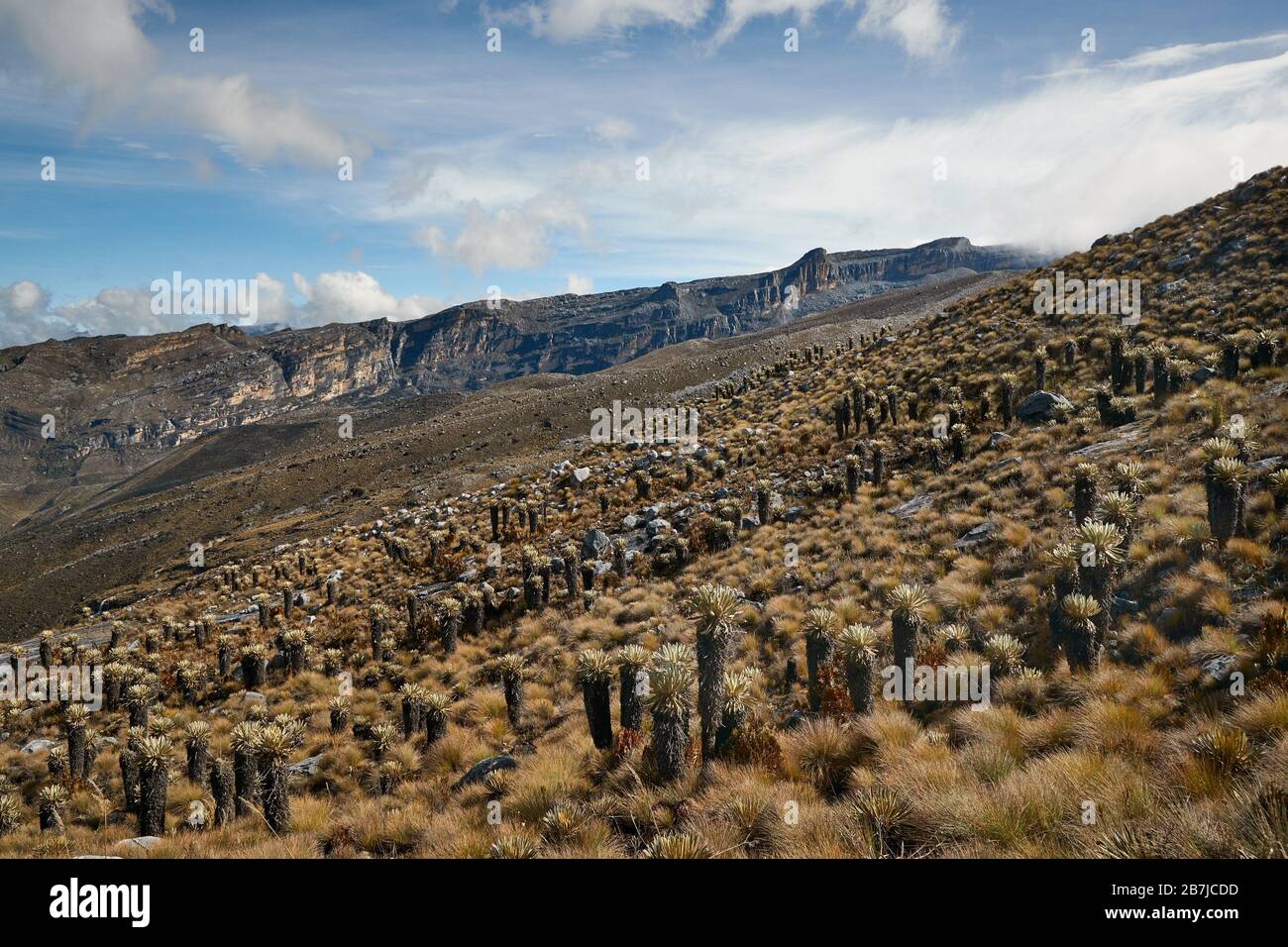 Mountain landscape in the Andes Stock Photo
