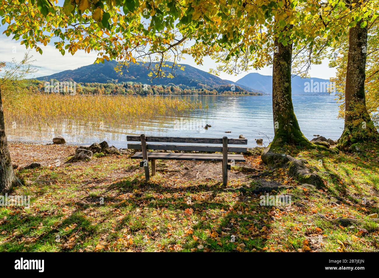 Idyllic place for regeneration, a bench nearby a lake. Stock Photo