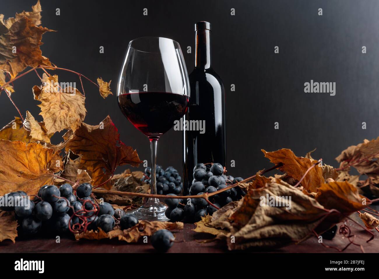 Bottle and glass of red wine on a table with dried vine leaves and blue ...