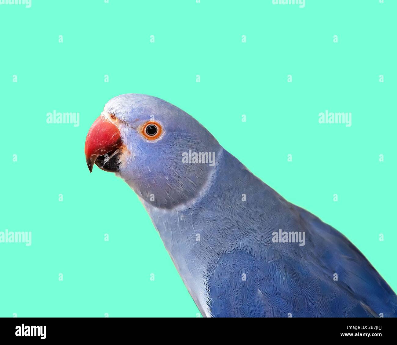 My Image 6