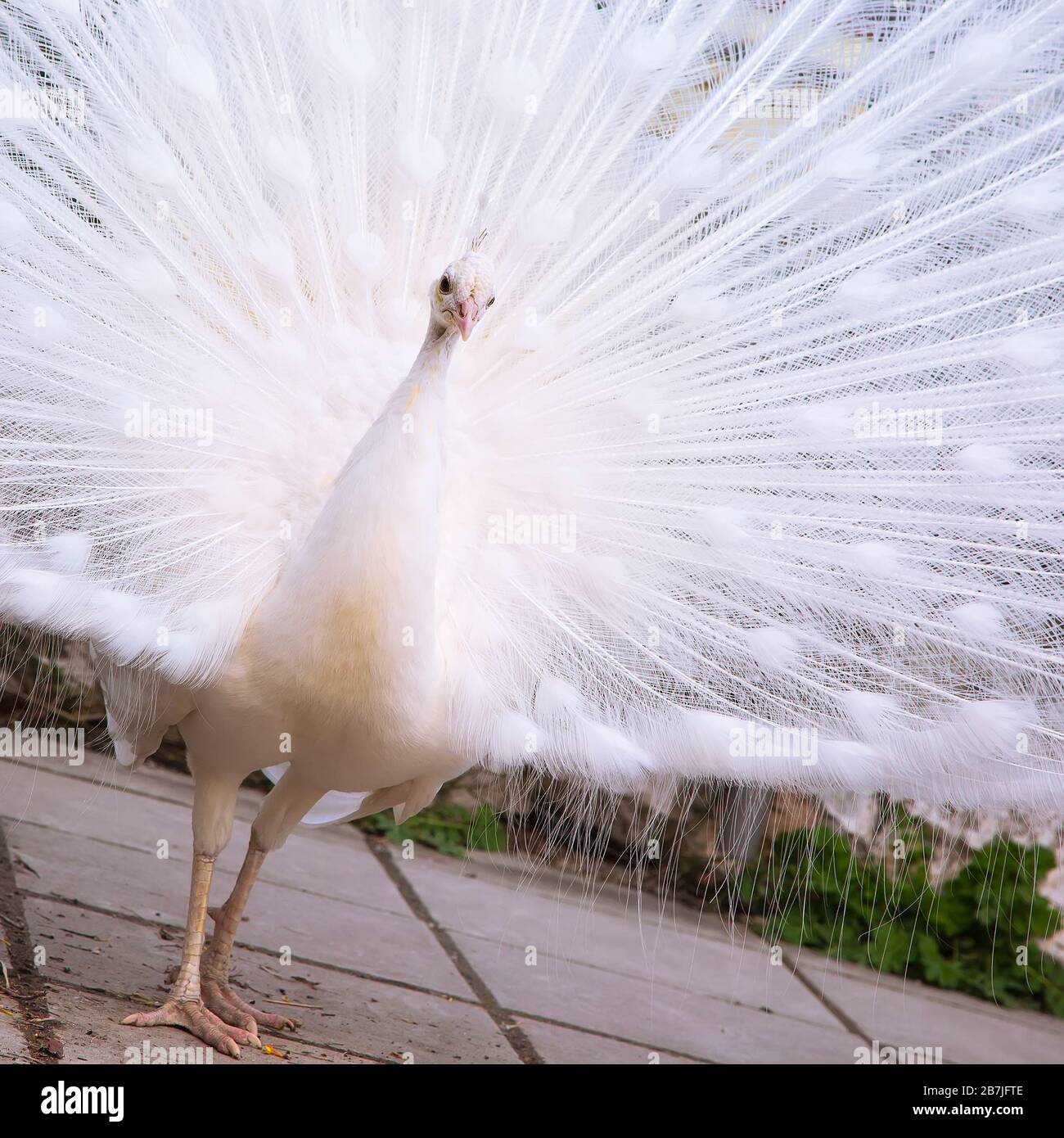 My Image 30