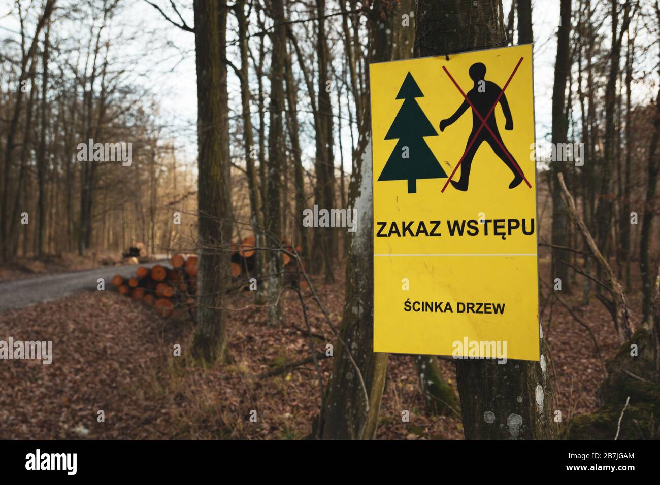 Warning sign in Polish, no entry, felling trees Stock Photo