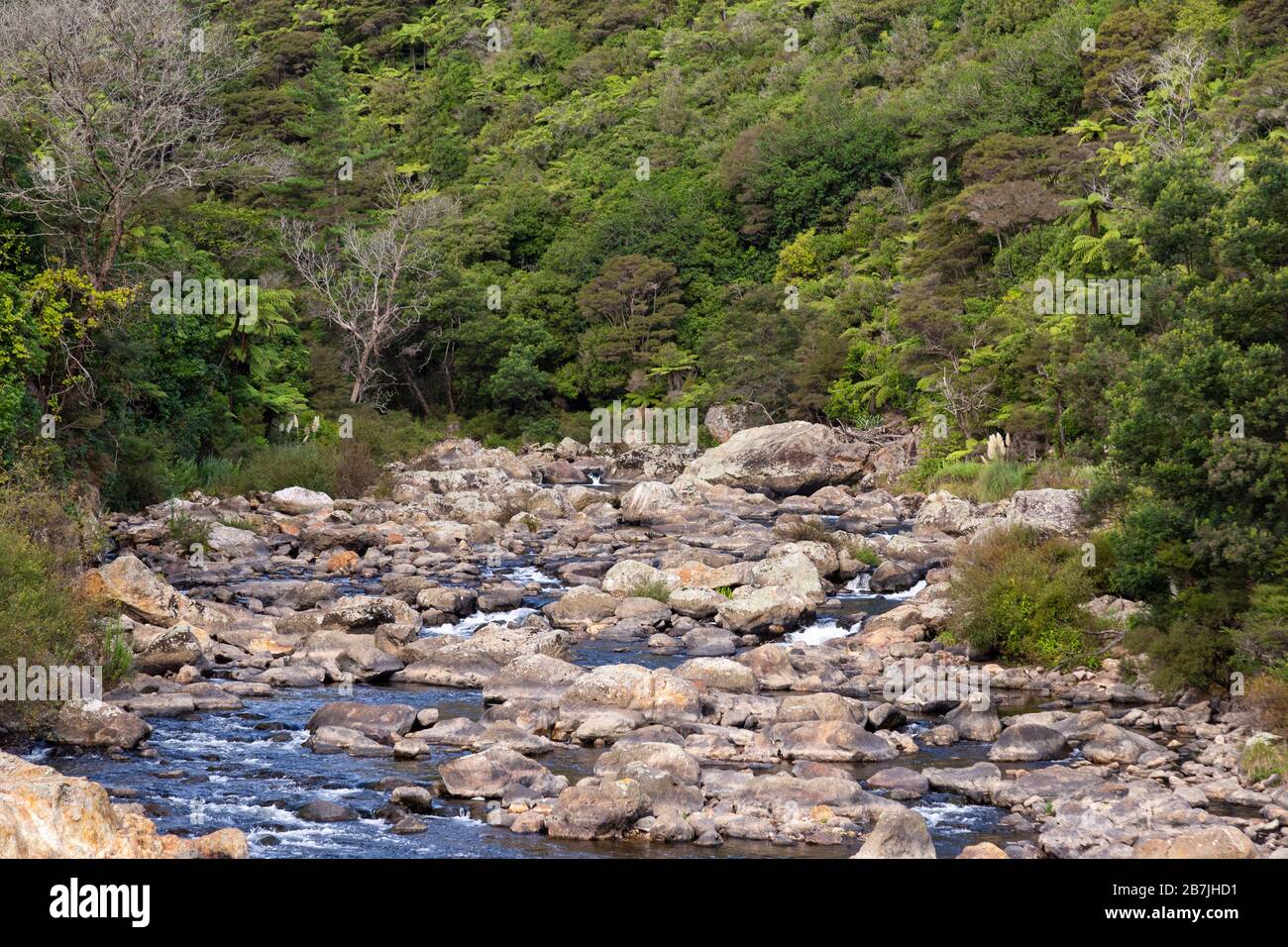 The Karangahake Gorge and Ohinemuri River Stock Photo