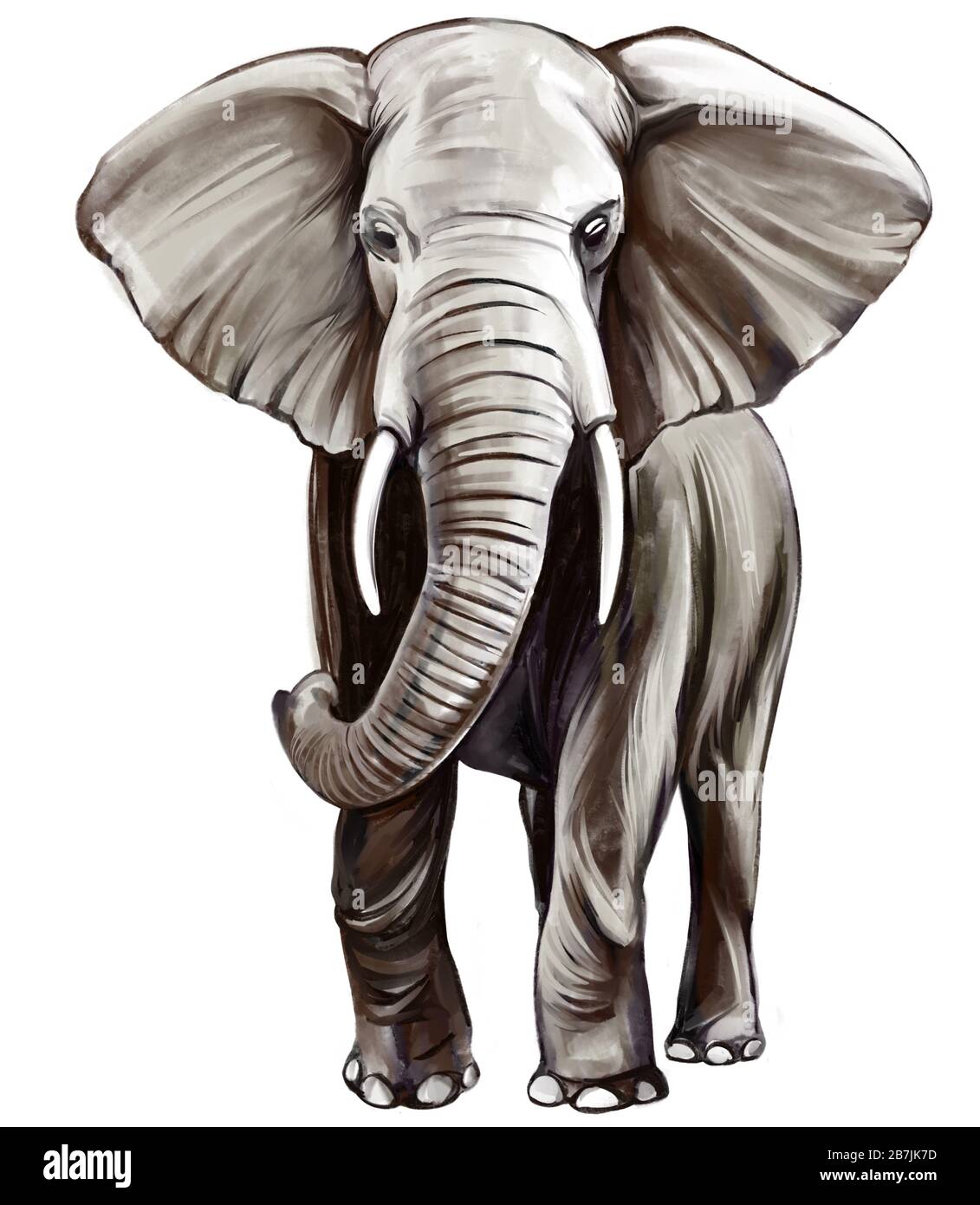 animal elephant, art illustration painted with watercolors isolated on white background Stock Photo