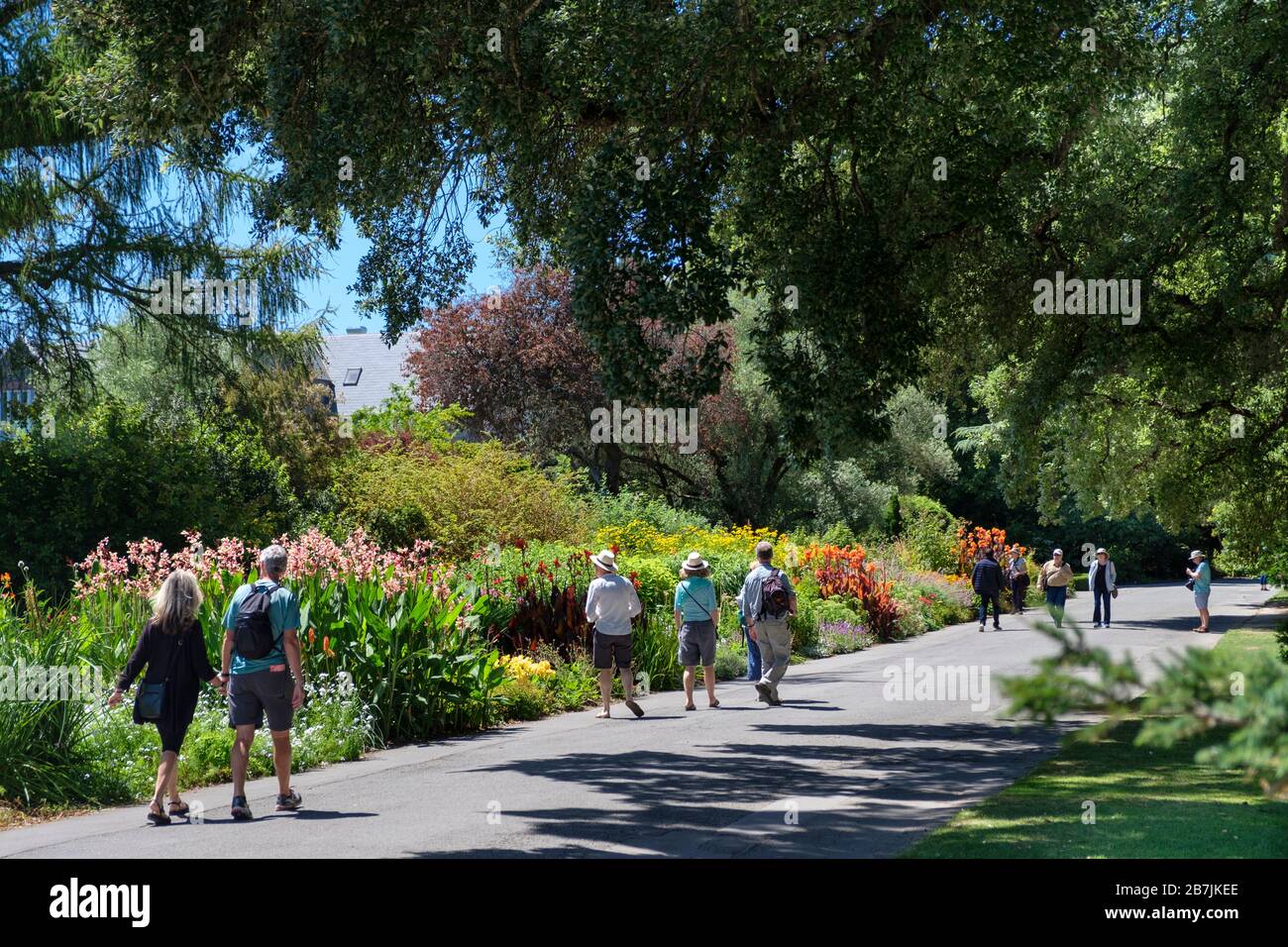 People vistiting Christchurch Botanical Gardens in summer,   Christchurch, Canterbury Region, South Island, New Zealand Stock Photo