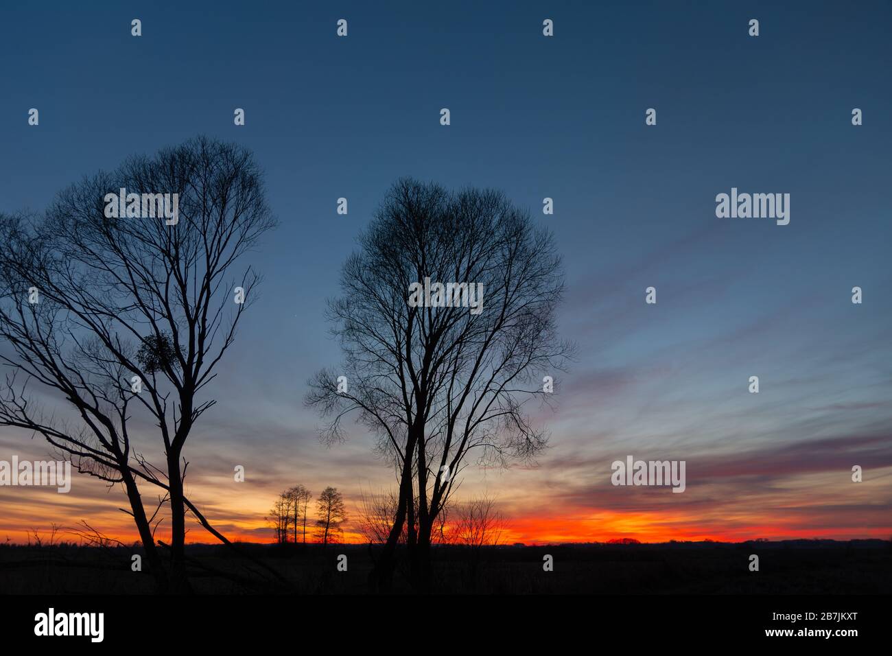 Black silhouettes of trees against the sky and clouds during sunset Stock Photo