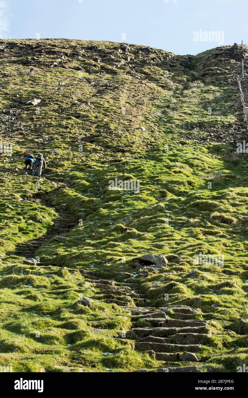 Walkers climbing the final steep section of the path from Chapel le Dale to Ingleborough mountain in the Yorkshire Dales National Park, England, Stock Photo