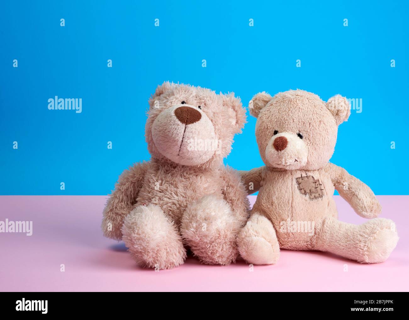 two teddy beige bears sitting huddled together, toys on blue pink background, friendship and love concept Stock Photo
