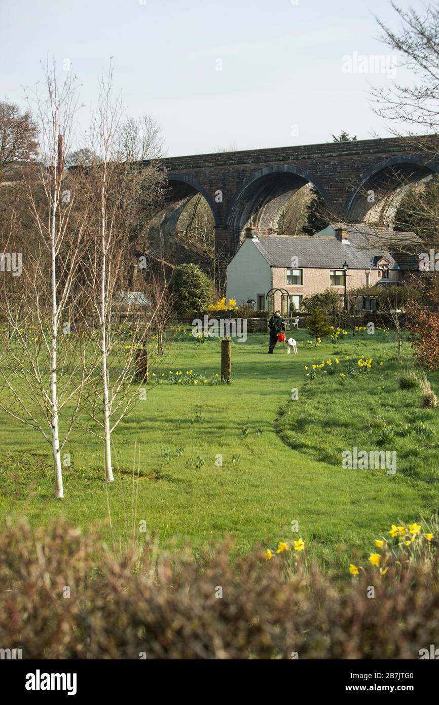 Man and dog statue with daffodils in the garden of a house below the Dry Beck Viaduct on the Settle Carlisle railway line, Armathwaite, England Stock Photo