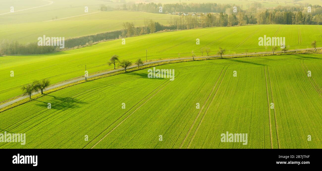 Aerial view on a field with green grass and few trees along a road ...