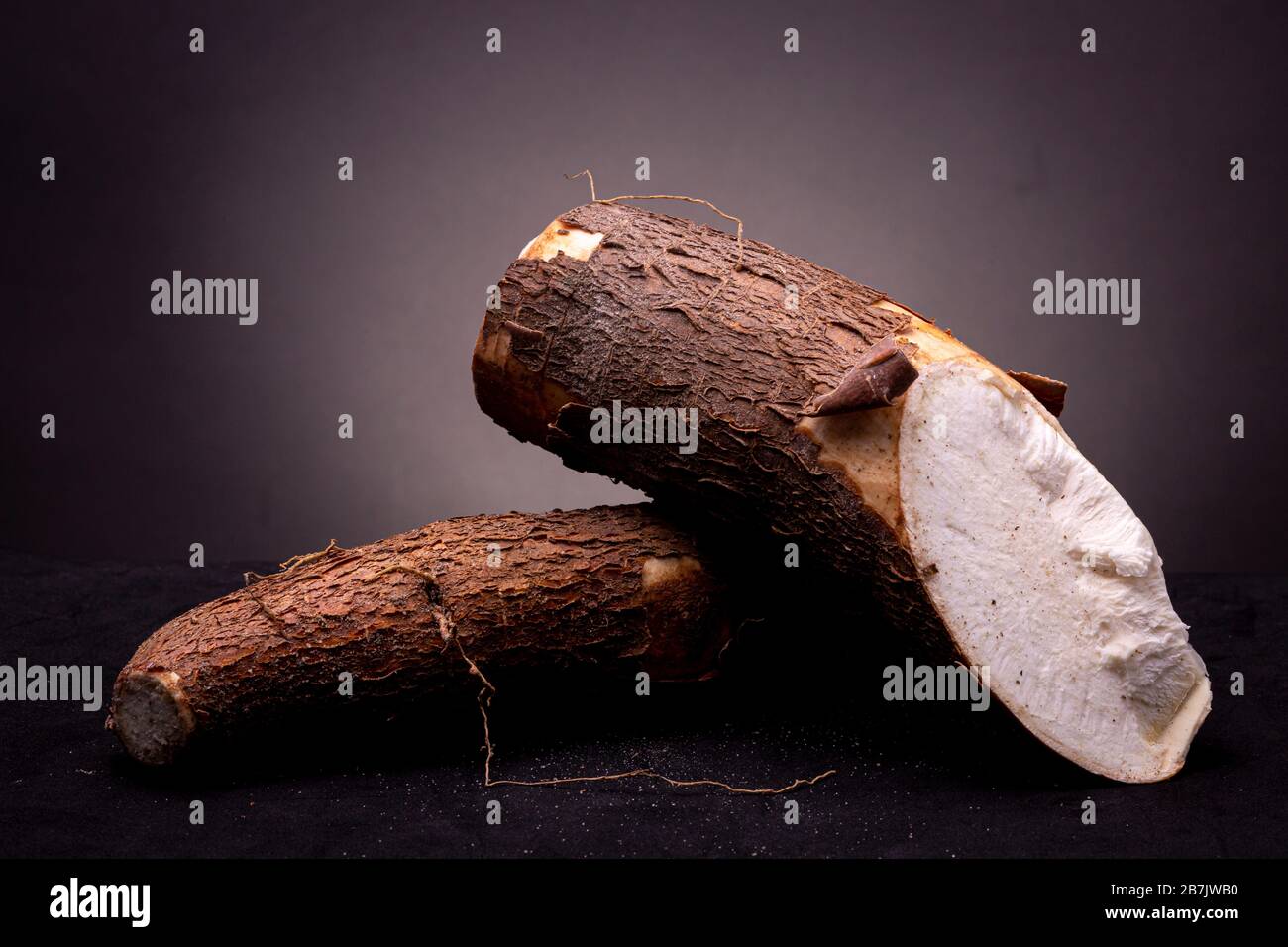 Two edible unprepared Cassava roots with bark still in place. Still life studio shot shrub against a dark grey background Stock Photo