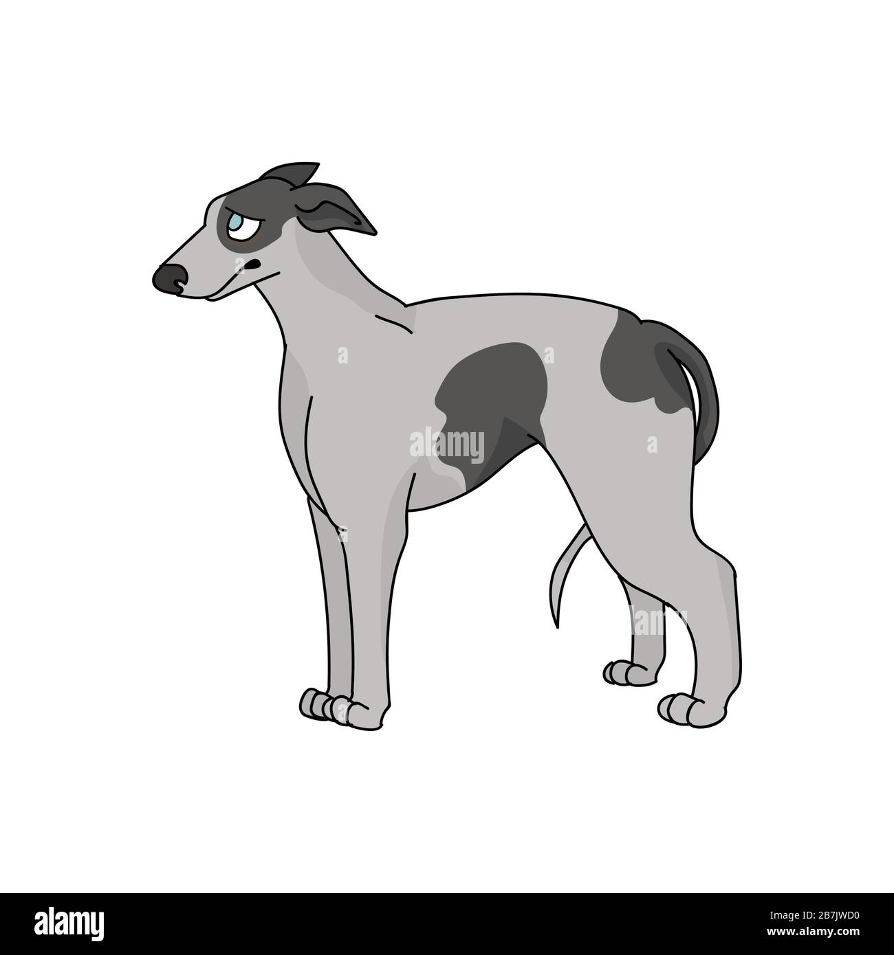 Cute cartoon greyhound dog breed vector clipart. Pedigree kennel racing  hound for dog lovers. Purebred domestic pooch for pet parlor illustration  Stock Vector Image & Art - Alamy