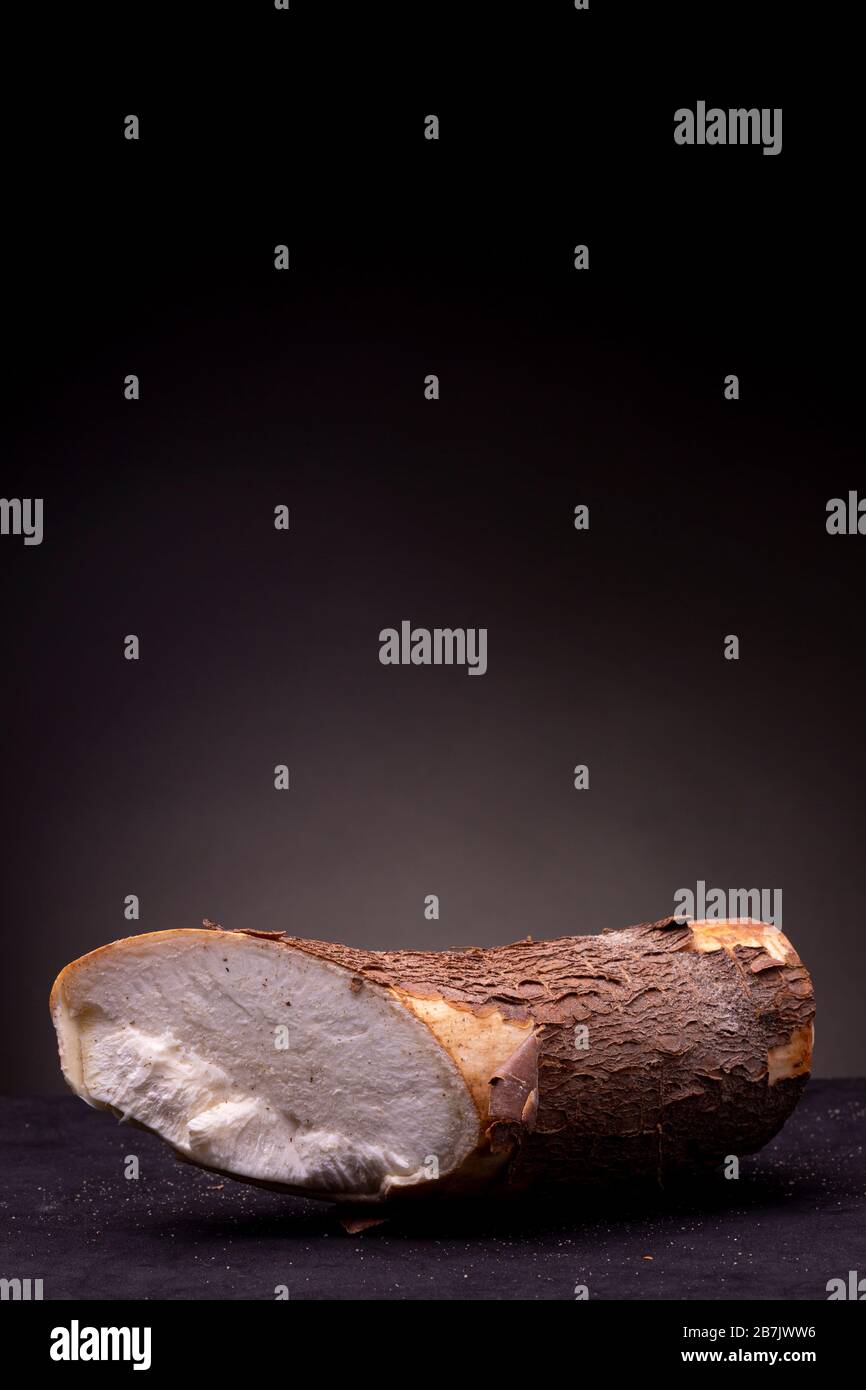Vertical frame with edible Casava root with brown textured bark brightly lit in studio lighting contrasted against a dark grey background Stock Photo