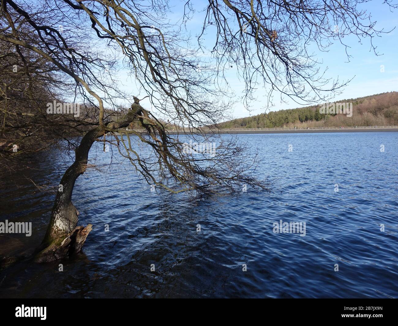 Steinbachtalsperre Fruher Wasserspeicher Fur Die Tuchindustrie Heute Naherholungsgebiet Euskirchen Kirchheim Nordrhein Westfalen Deutschland Stock Photo Alamy