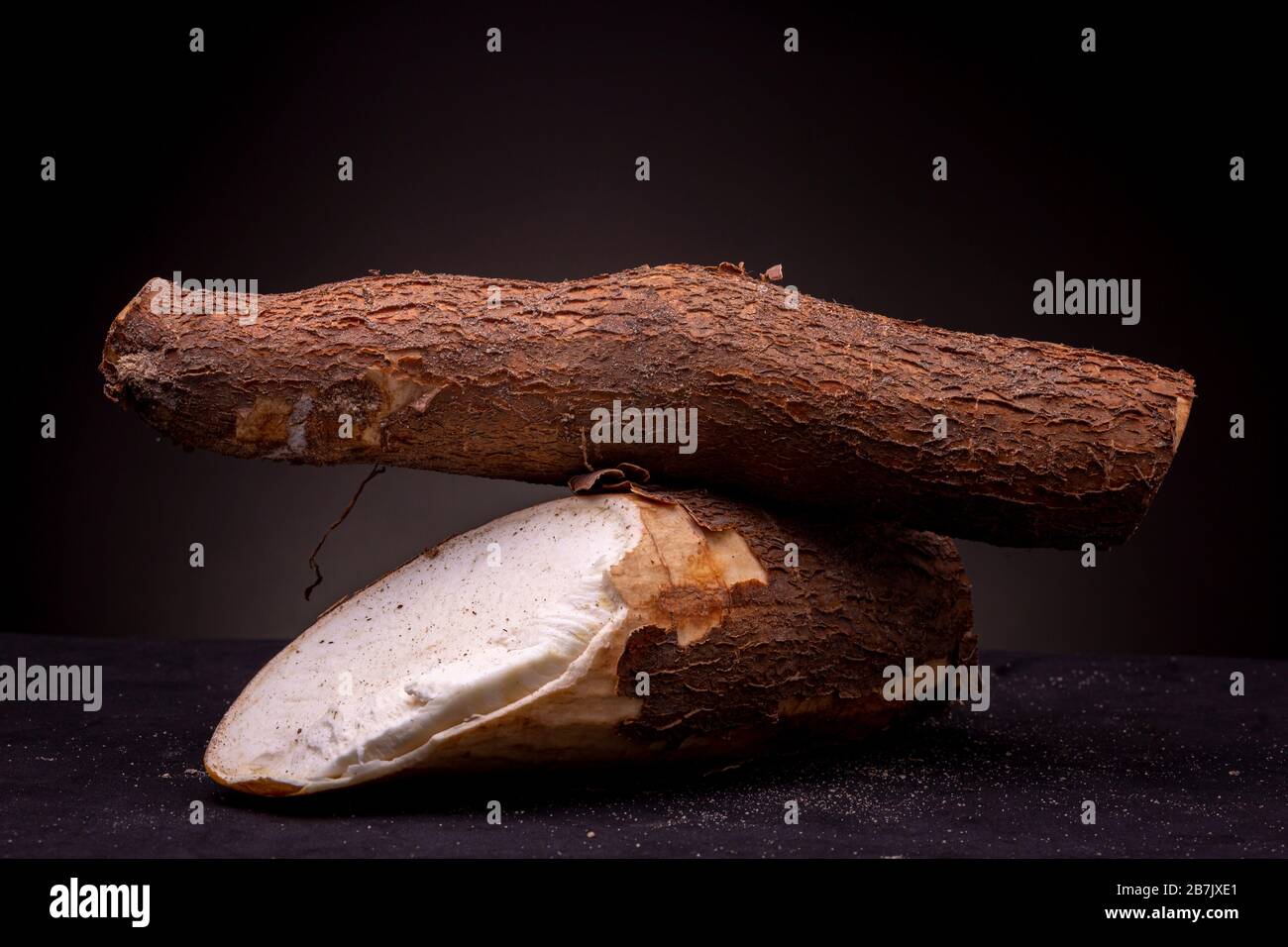 Unprepared samples of Cassava root with bark intact and white edible inside visible. Still life studio shot with texture of shrub against a dark grey Stock Photo