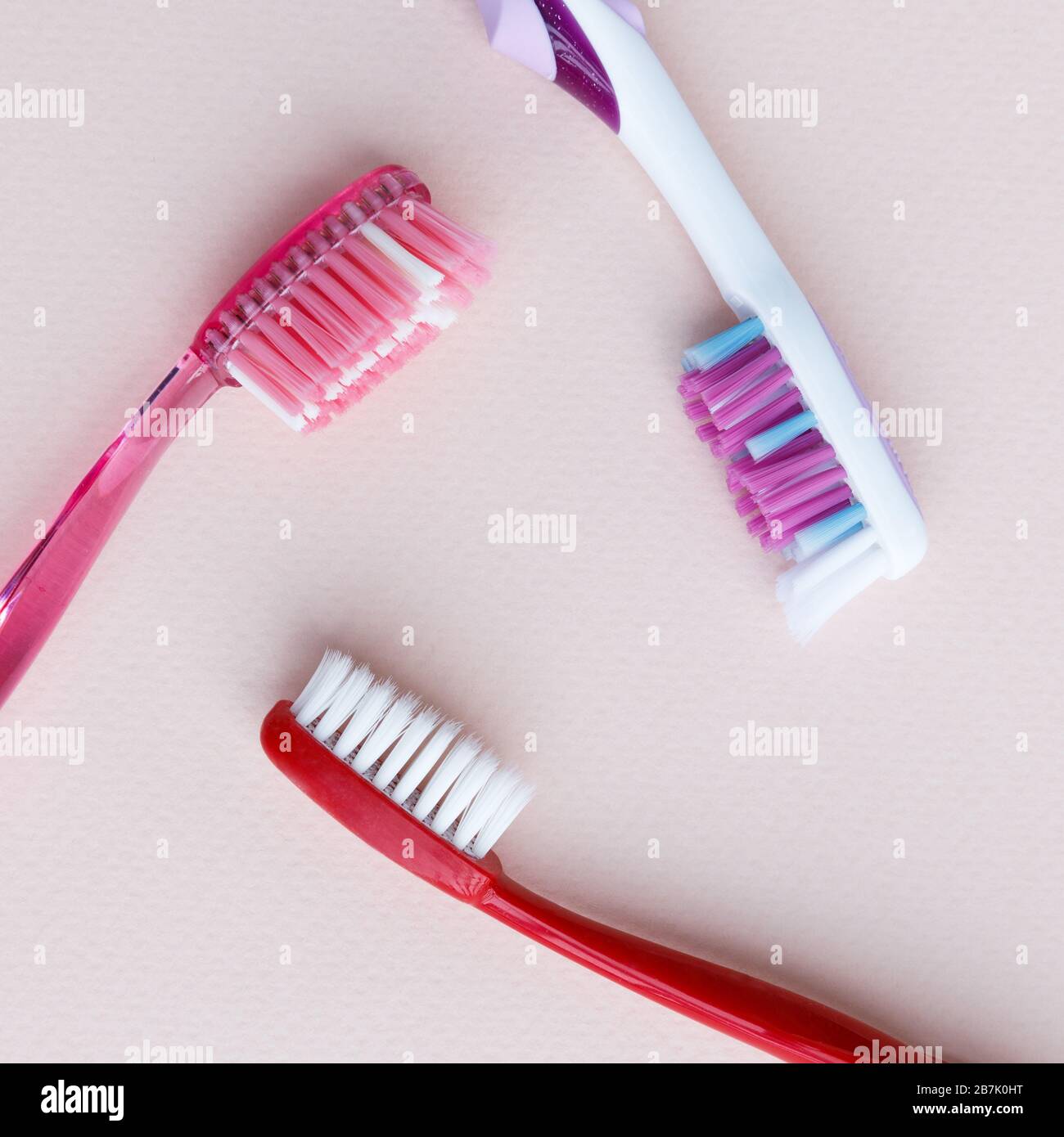 stiff bristle toothbrush