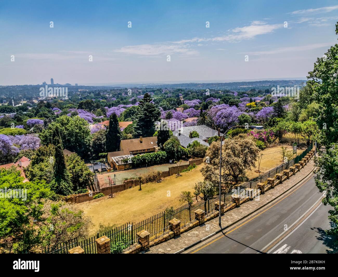 Aerial view of Johannesburg , the largest urban forest during Spring - Jacaranda blooming in October in South Africa Stock Photo