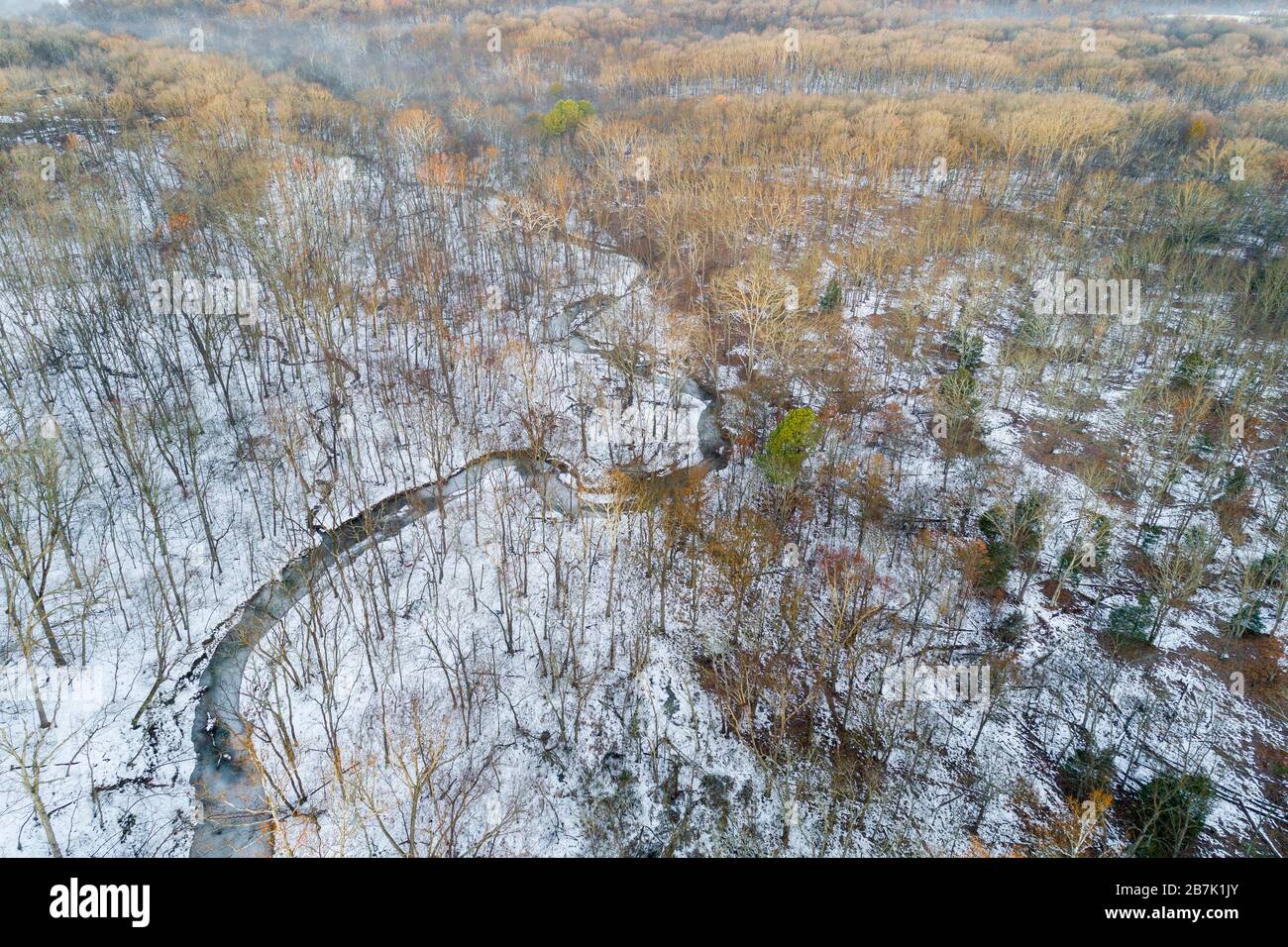 63877-01403 Aerial view of winter forest and creek Stephen A. Forbes State Park Marion Co. IL Stock Photo