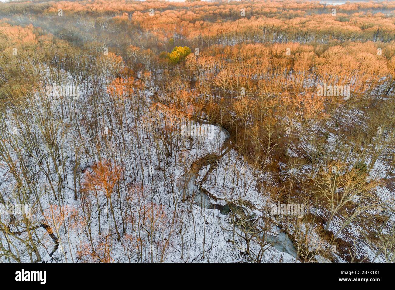 63877-01406 Aerial view of winter forest and creek Stephen A. Forbes State Park Marion Co. IL Stock Photo