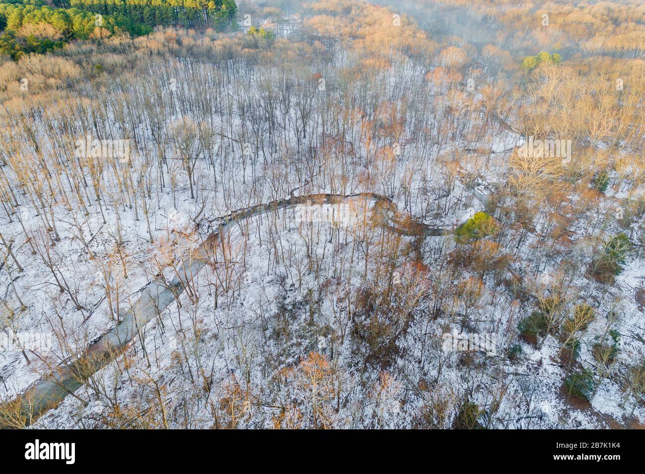63877-01415 Aerial view of winter forest and creek Stephen A. Forbes State Park Marion Co. IL Stock Photo