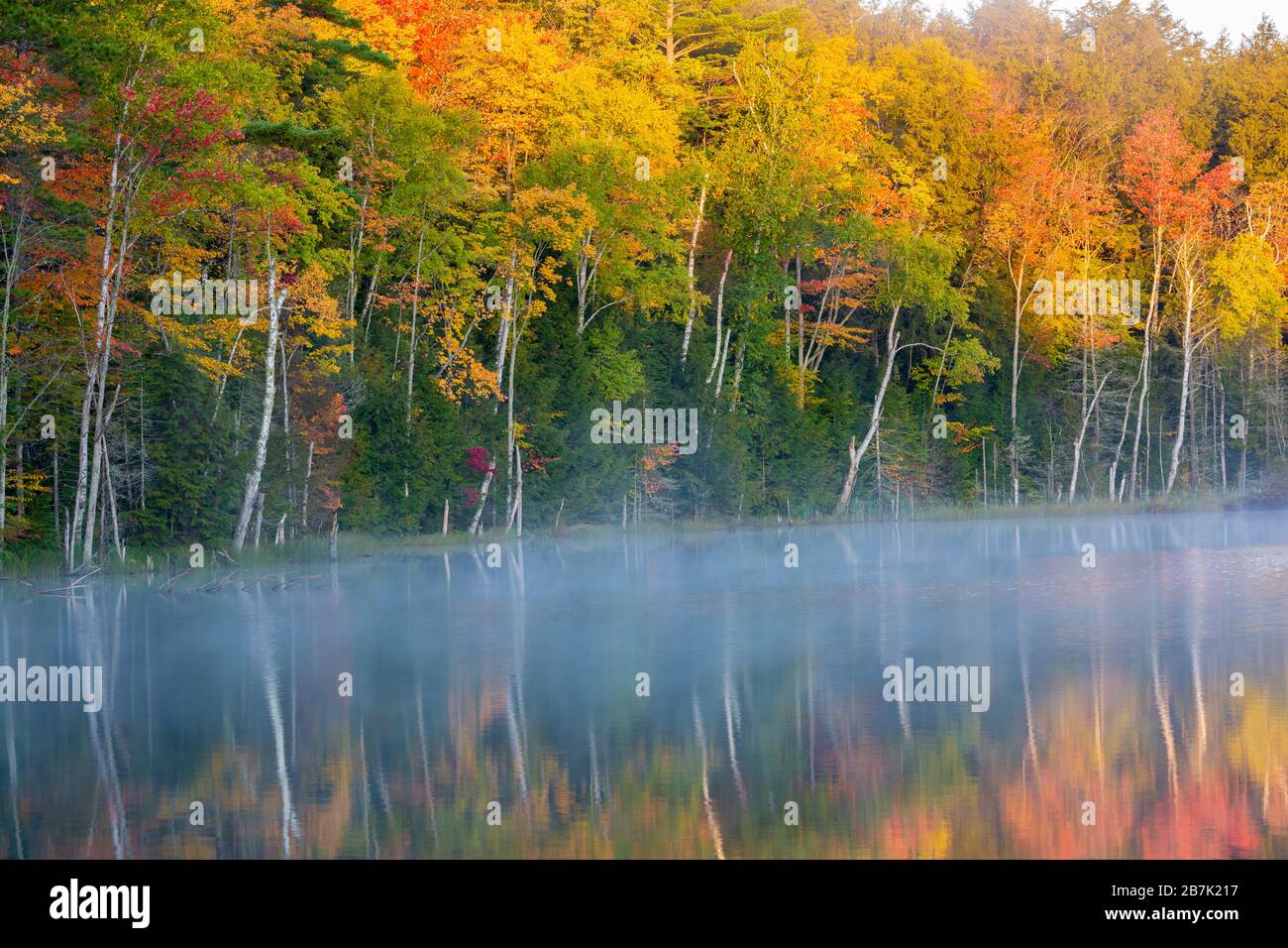 64776-02019 Council Lake in fall color Alger Co.  MI Stock Photo