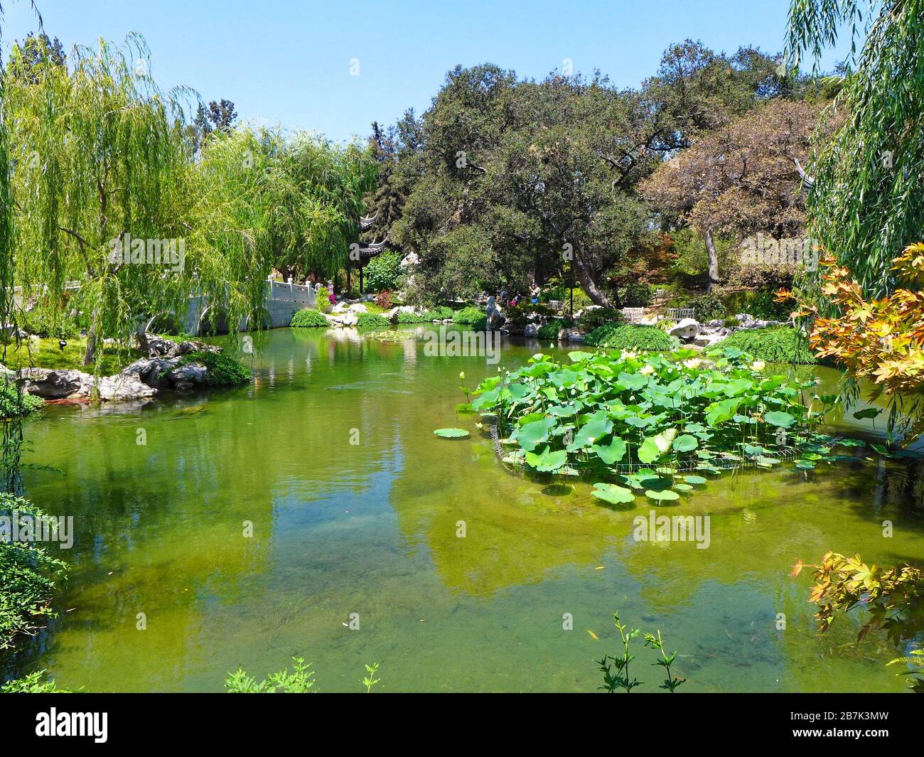 Botanical garden at the Huntington Library in San Marino California USA Stock Photo