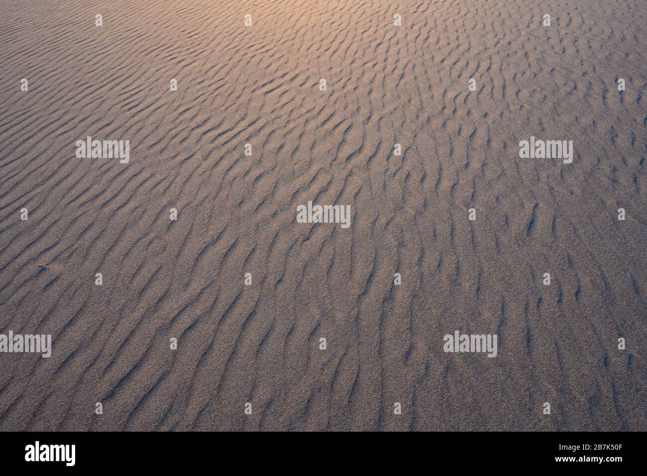 Looking Across Rippled Sand with golden light Stock Photo