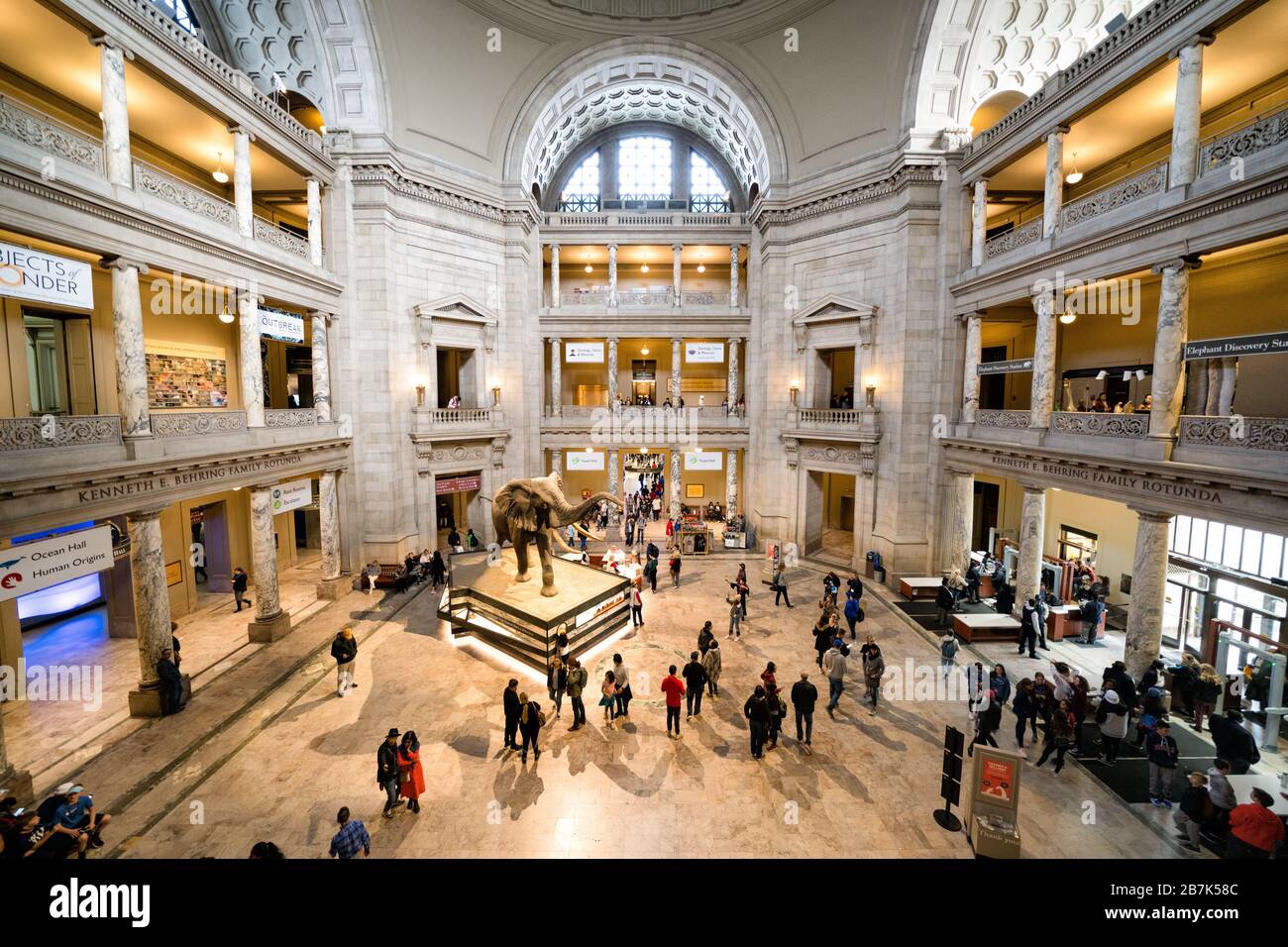 WASHINGTON, DC - The main hall of the Smithsonian Institution's National Museum of Natural History on the National Mall in Washington DC. Stock Photo