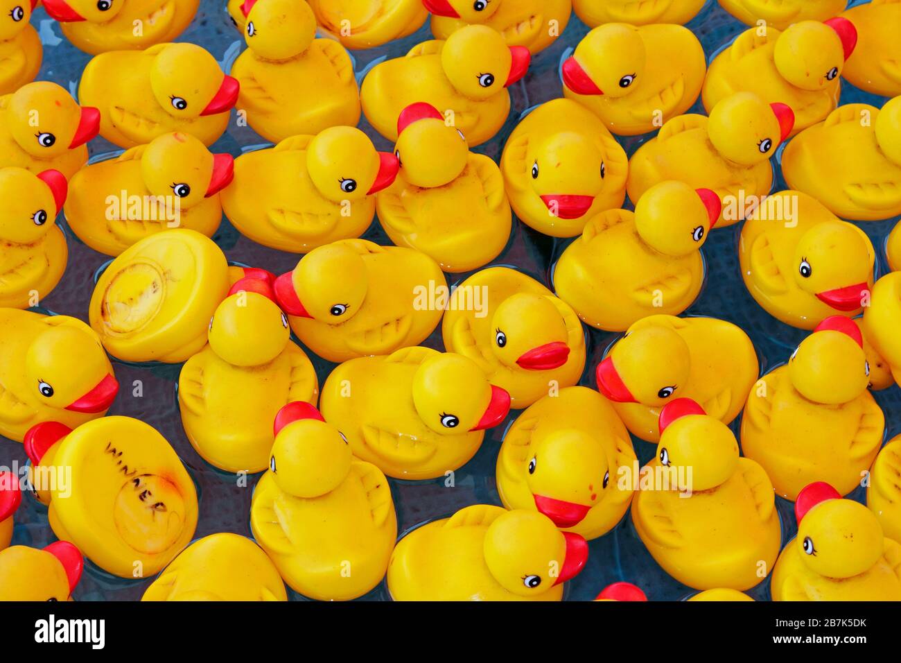 yellow rubber duckies Stock Photo