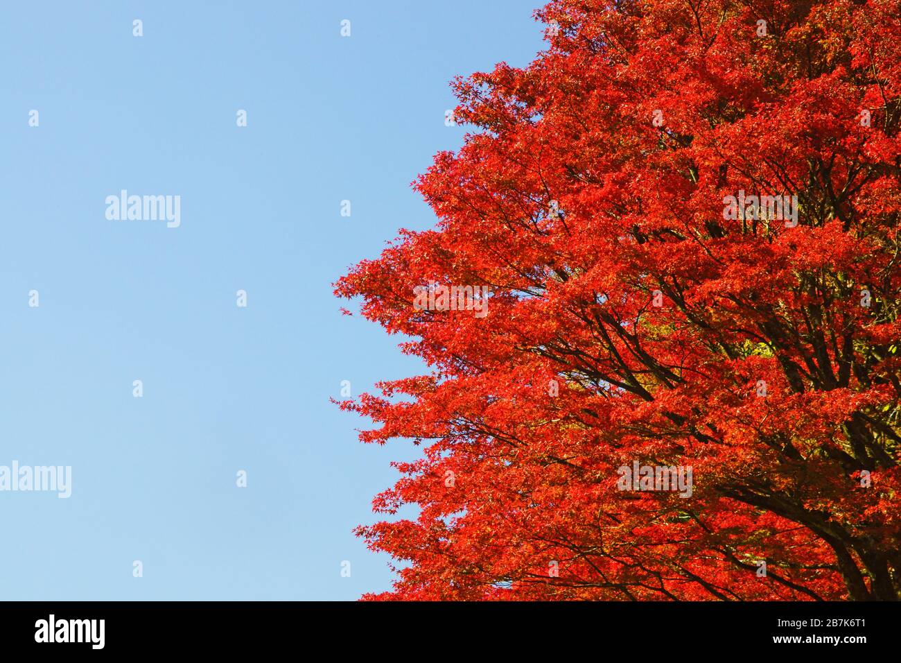 Kikuchi Kumamoto Prefecture, Japan Stock Photo Alamy