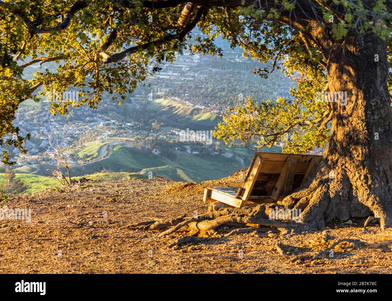 Wood bench under oak tree with early morning mountain view of the San Fernando Valley from Mission Peak in north Los Angeles, California. Stock Photo