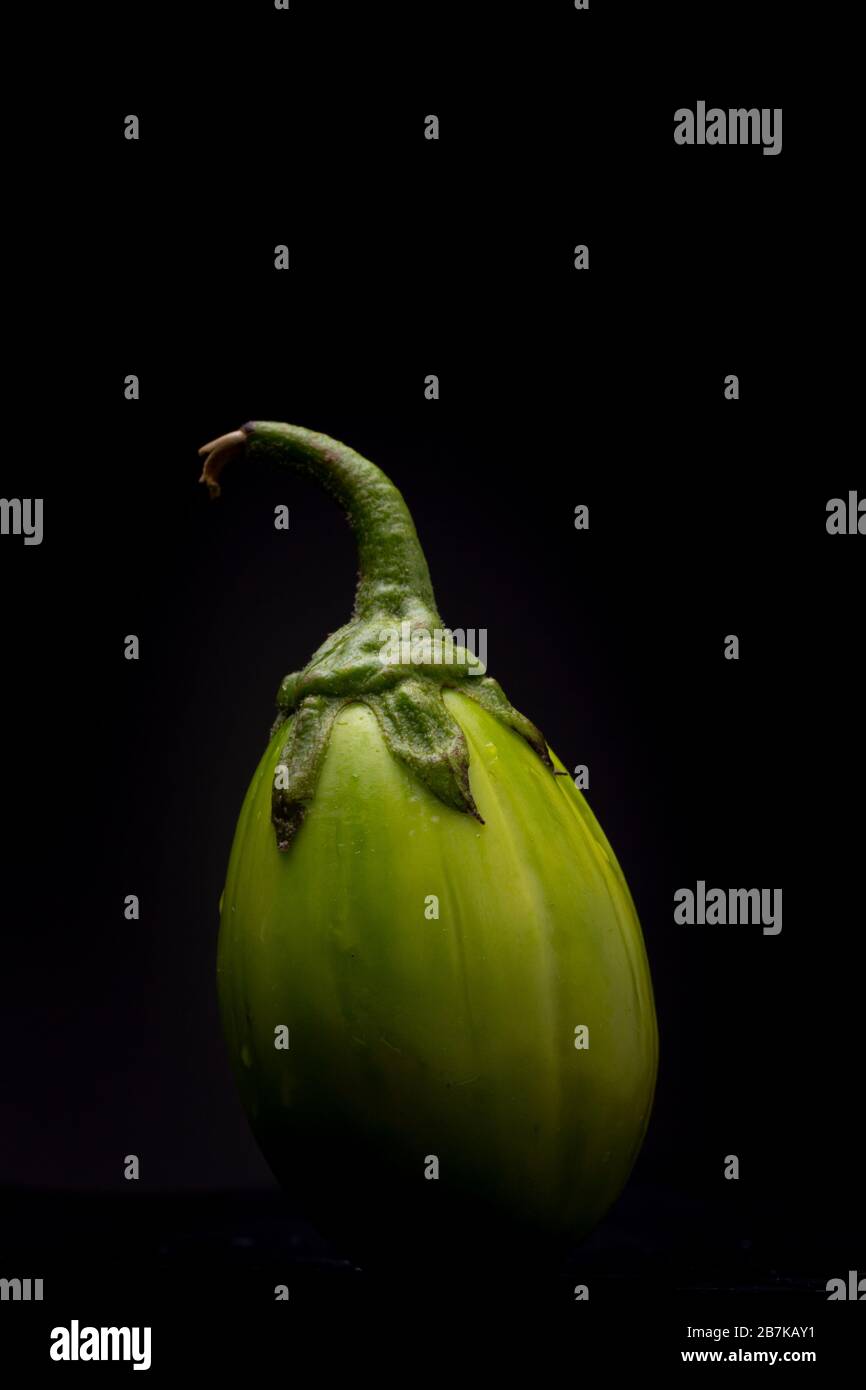 Jiló (Scarlet eggplant) is a fruit known for its bitter taste, widely  consumed in Brazi. Photographed on imperial palm leaf Stock Photo - Alamy