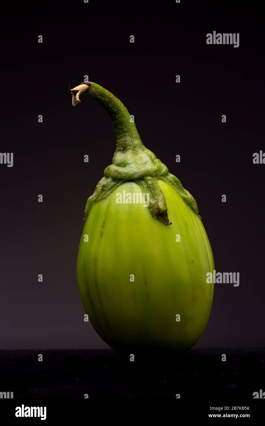 Vibrant green lot of scarlet eggplant vegetable grouped together on dark background Stock Photo