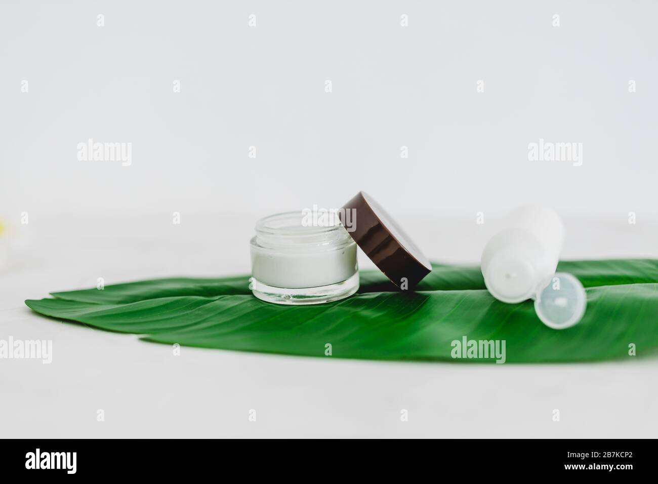 vegan natural beauty without harsh chemicals concept, pot of face cream