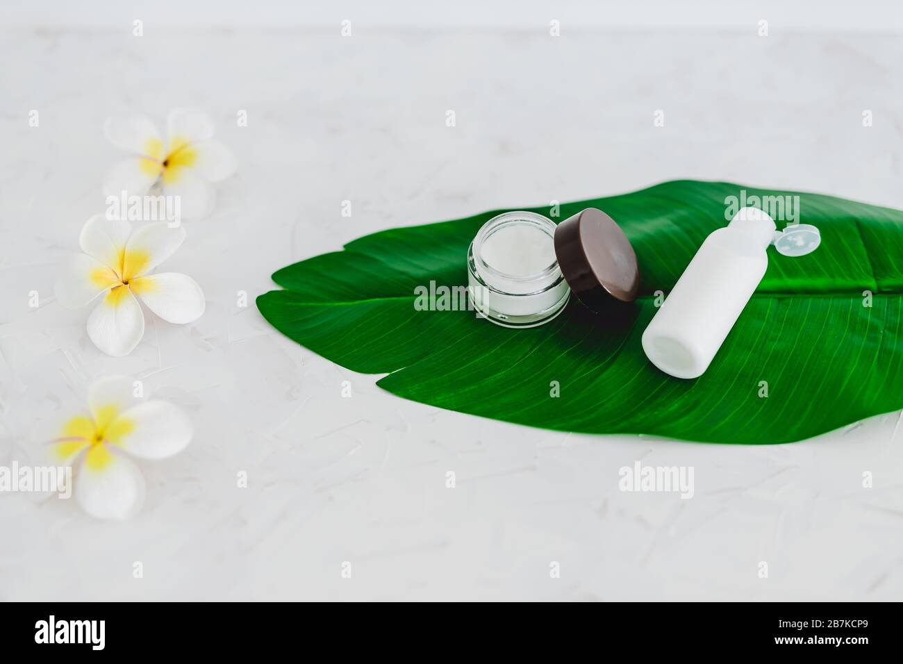 vegan natural beauty without harsh chemicals concept, pot of face cream