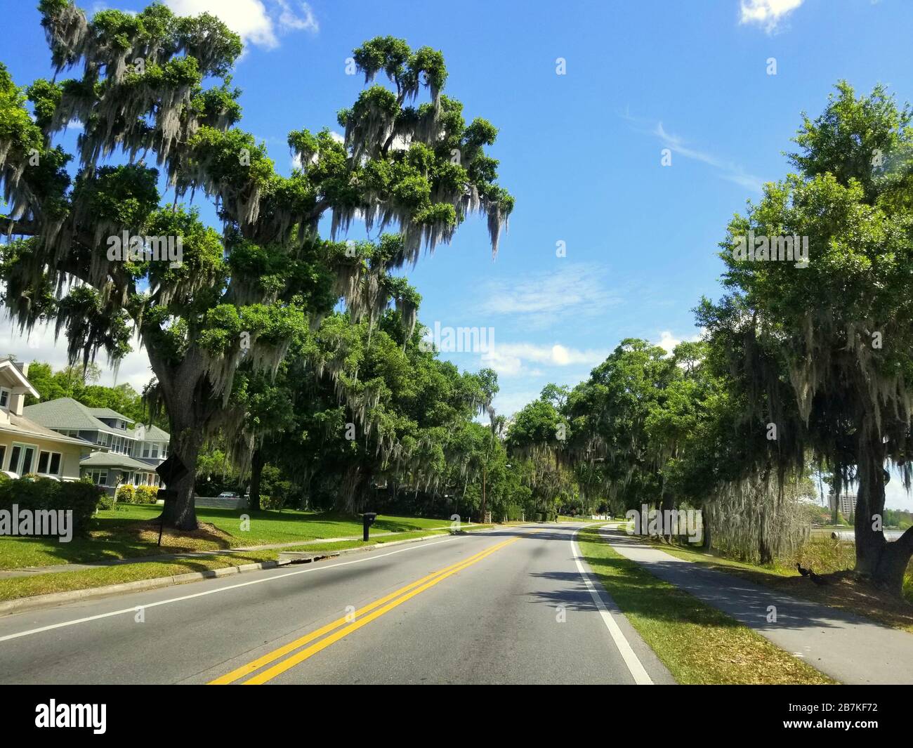 Beautiful road with oak trees and moss near Winter Haven, Florida, U.S.A Stock Photo